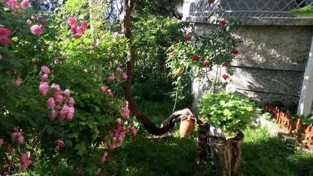Belivanovi B&B House, Veliko Tŭrnovo, Bulgaria