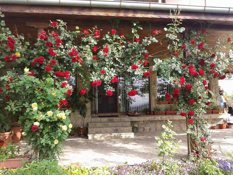 Todorovi Guest House, Stara Zagora, Bulgaria