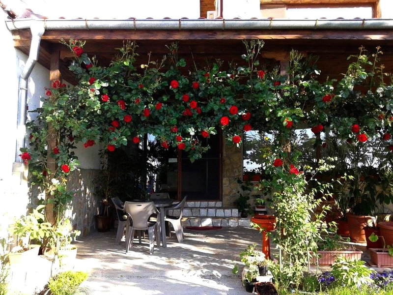 Todorovi Guest House, Stara Zagora, Bulgaria