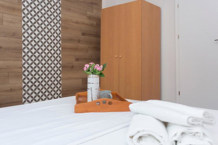 Sunny and Modern 1BDR Apartment in the Center, Sofia, Bulgaria
