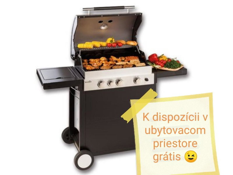 U Bažanta *** - Ubytovanie v súkromí (objekt), Vyšné Ružbachy, Slovakia