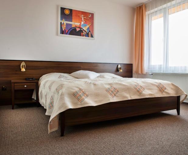Hotel Patriot, Vranov nad Topľou, Slovakia