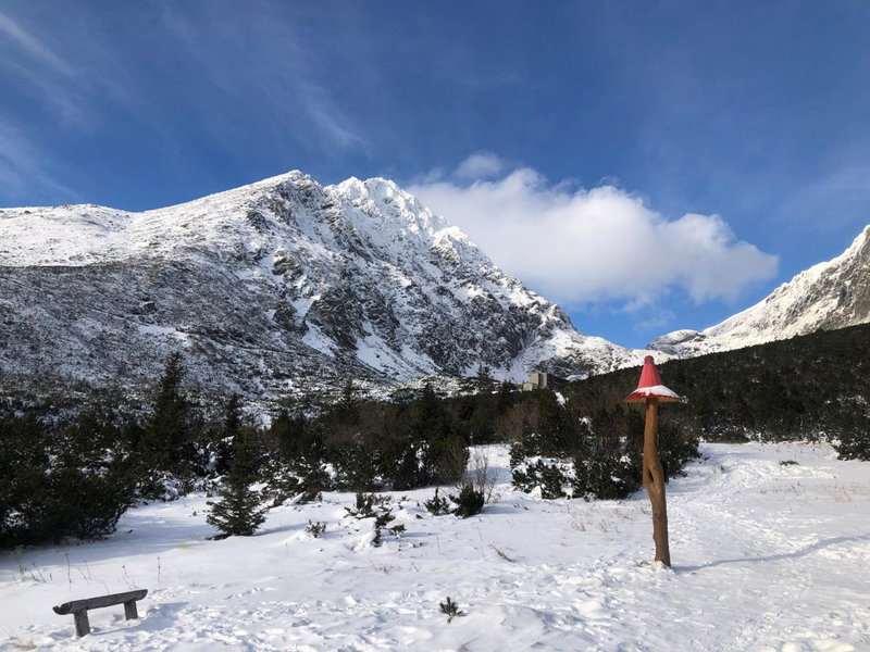 Studio Marek, Vysoke Tatry - Stary Smokovec, Slovakia