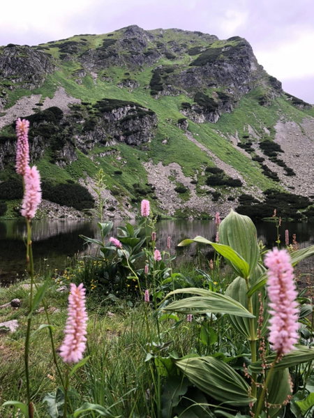 Rekreačný Dom Sablatura, Zuberec, Slovakia
