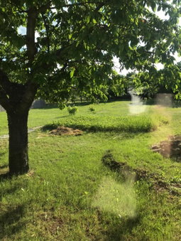 Életvirág Rezidencia és Vendéglak, Egerszalók, Hungary