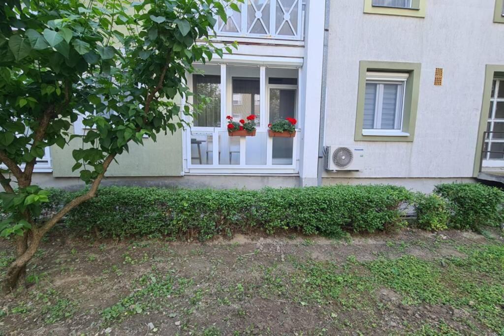 Kadarka apartman - Szekszárd, Hungary