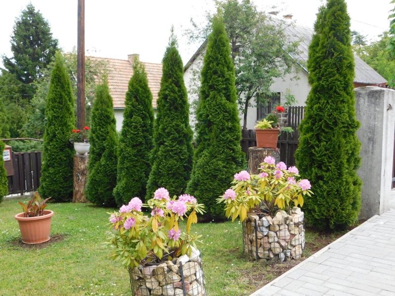 Fenyő Vendégház, Parádsasvár, Hungary