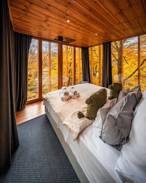 TreeHouses Noszvaj, Noszvaj, Hungary