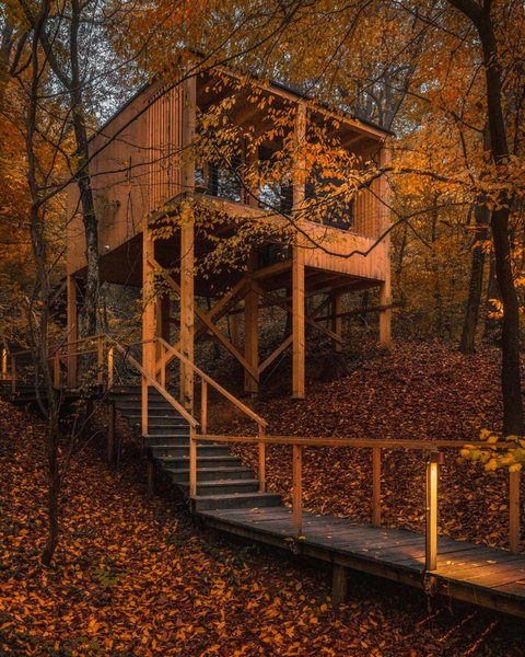 TreeHouses Noszvaj, Noszvaj, Hungary