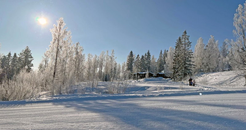 Paritalomökki Lomariihi 4, Muurame, Finland