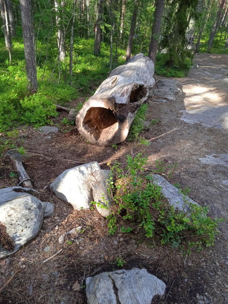 Ellivuori. Ellin Pooli 4, Sastamala, Finland