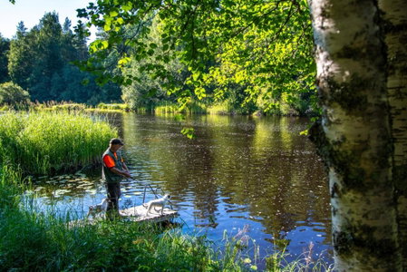 Mulikan HillTon B&B, Pääjärvi, Finland