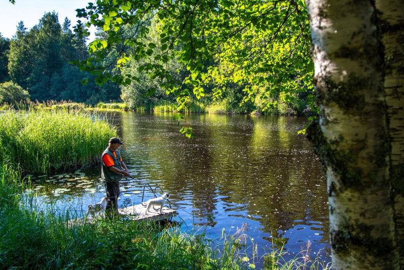 Mulikan HillTon B&B, Pääjärvi, Finland