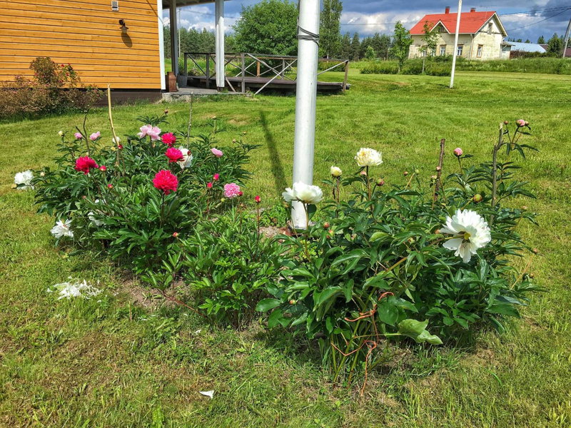 Mulikan HillTon B&B, Pääjärvi, Finland