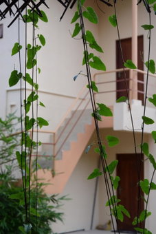 Hotel Thilon, Katunayake, Sri Lanka