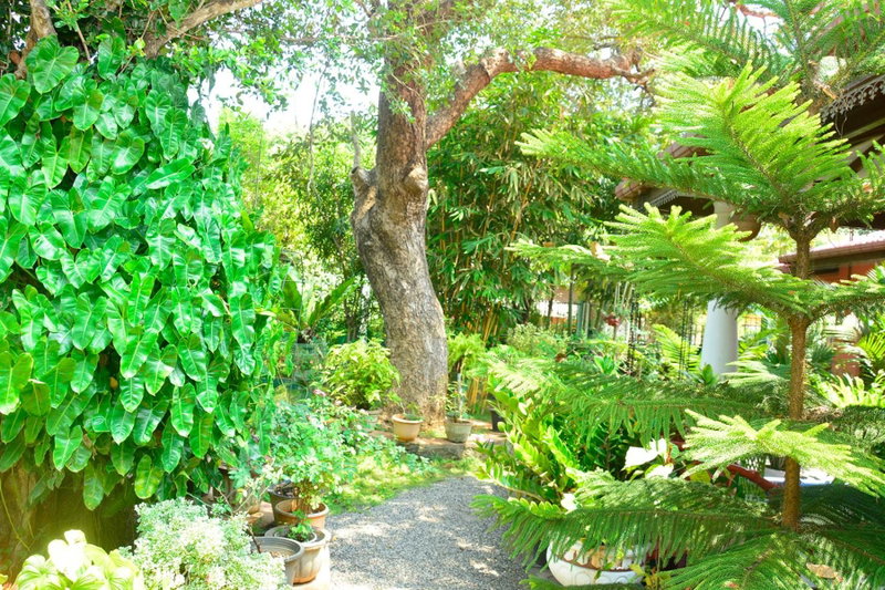 Livinginn Polonnaruwa, Polonnaruwa, Sri Lanka