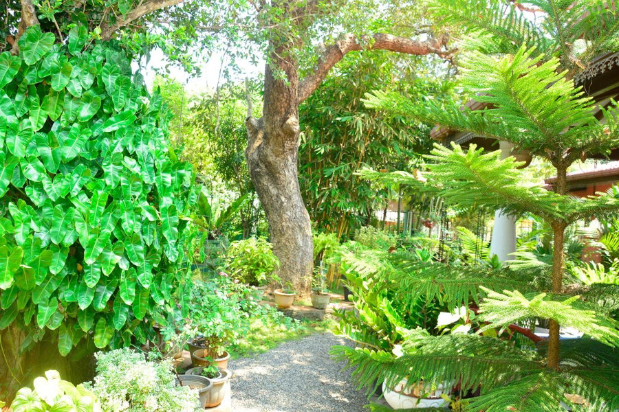Livinginn Polonnaruwa, Polonnaruwa, Sri Lanka