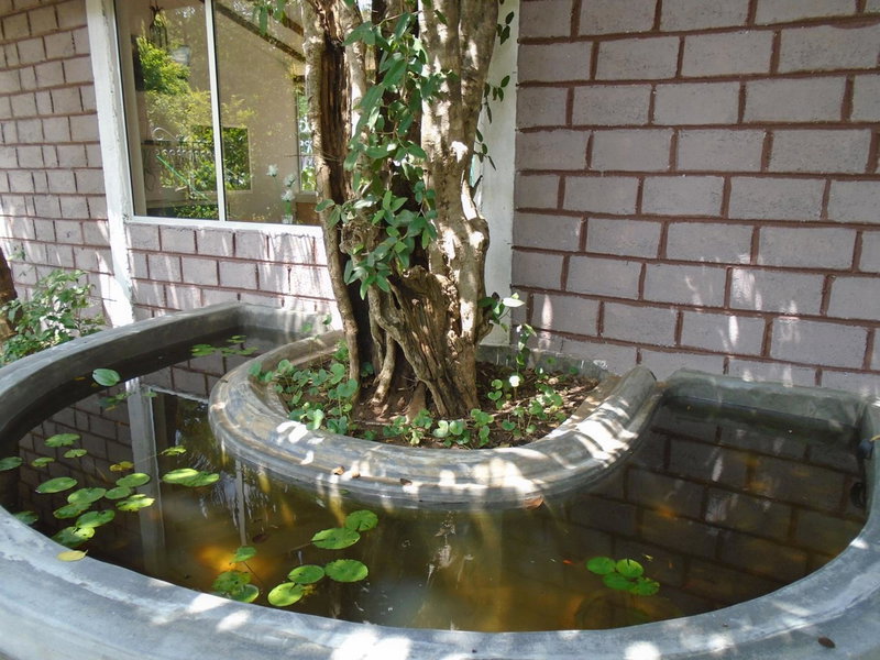 Livinginn Polonnaruwa, Polonnaruwa, Sri Lanka