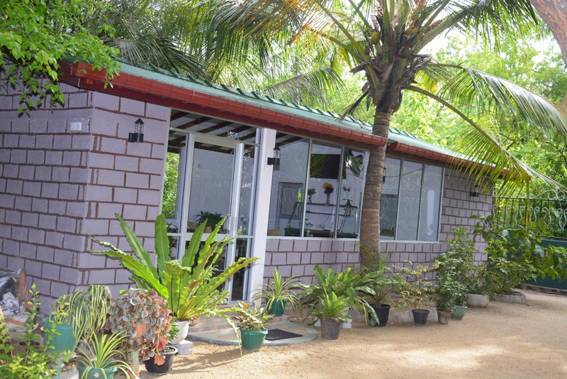 Livinginn Polonnaruwa, Polonnaruwa, Sri Lanka