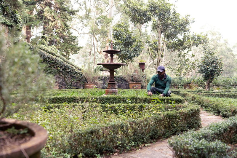 Jetwing Warwick Gardens, A Luxury Reserve, Nuwara Eliya, Sri Lanka