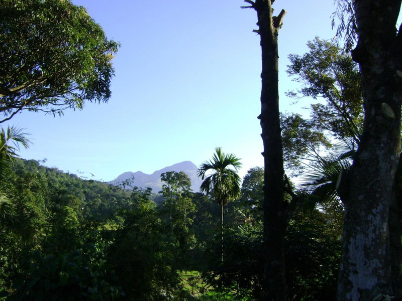 Landa Holiday House, Belihul Oya, Sri Lanka
