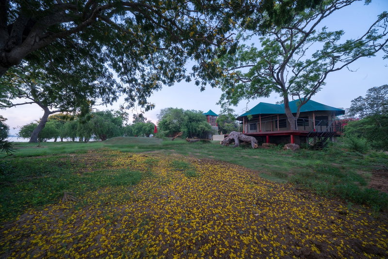 Flameback Eco Lodge, Weerawila, Sri Lanka