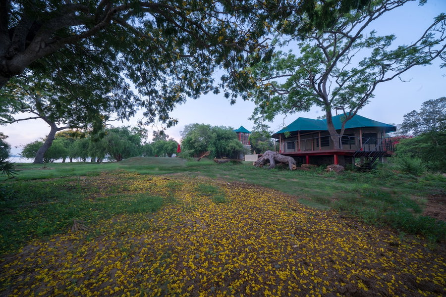 Flameback Eco Lodge, Weerawila, Sri Lanka