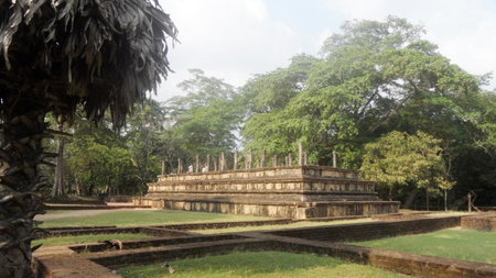 My Home Guest, Polonnaruwa, Sri Lanka