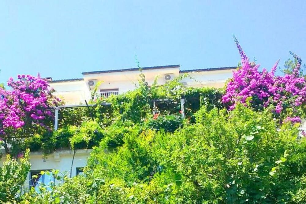 Madra rooms & apartments, Montenegro