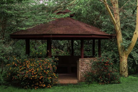 Oilepo Cottage, Naivasha, Kenya
