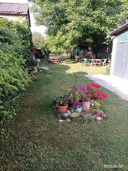 Dvoriste Danguba, Nova Pazova, Serbia