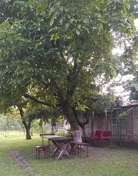 Dvoriste Danguba, Nova Pazova, Serbia