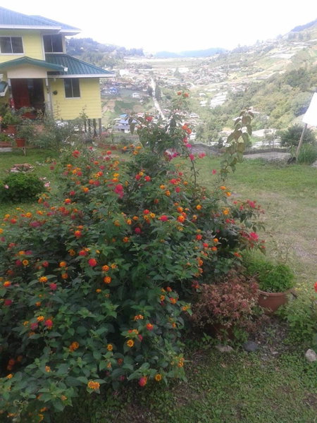 Soboroong Farmer's Cottage, Kundasang, Malaysia