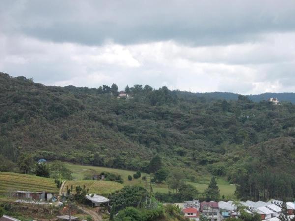 Hotel Chua Gin, Cameron Highlands, Malaysia