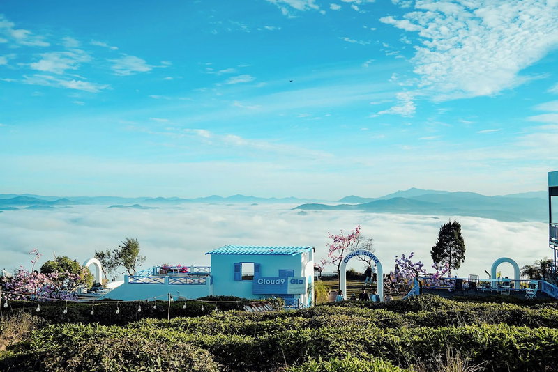 Cloud9 & Cloud View Glamping, Da Lat, Vietnam