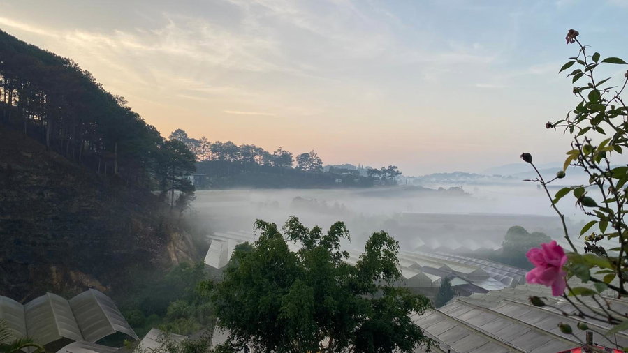 Malá home & coffee, Da Lat, Vietnam