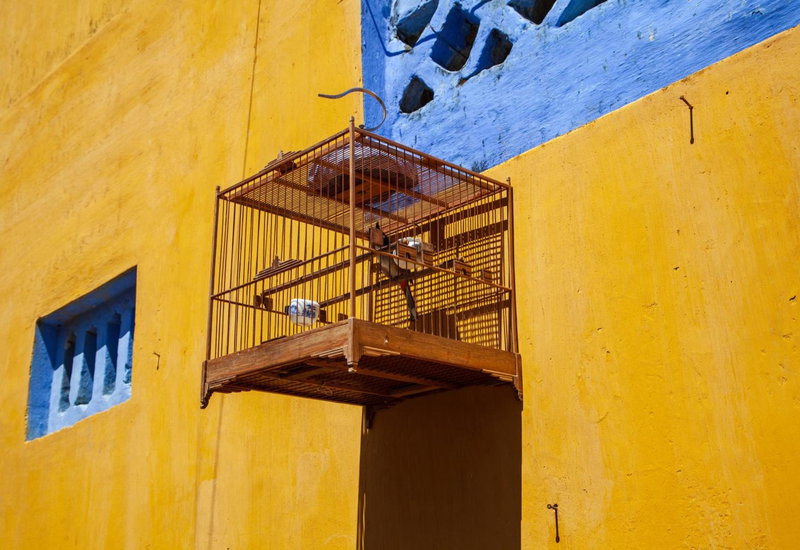 Bespoke Villa Hoian, Hoi An, Vietnam