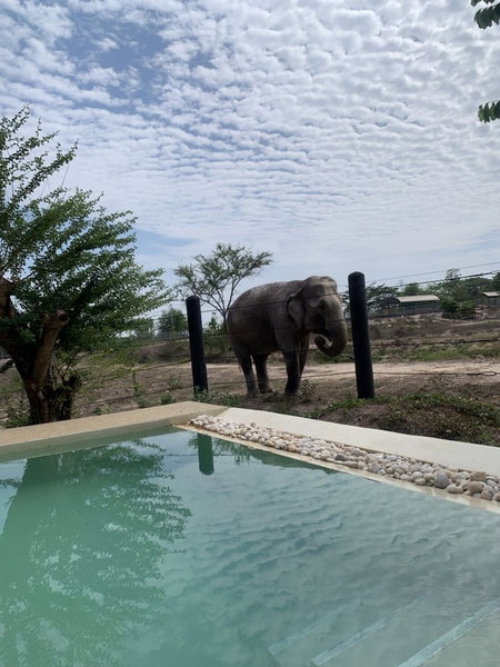 Elephant View Camp, Tha Yang, Thailand