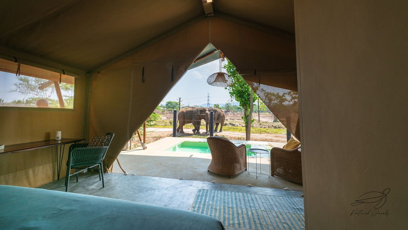 Elephant View Camp, Tha Yang, Thailand