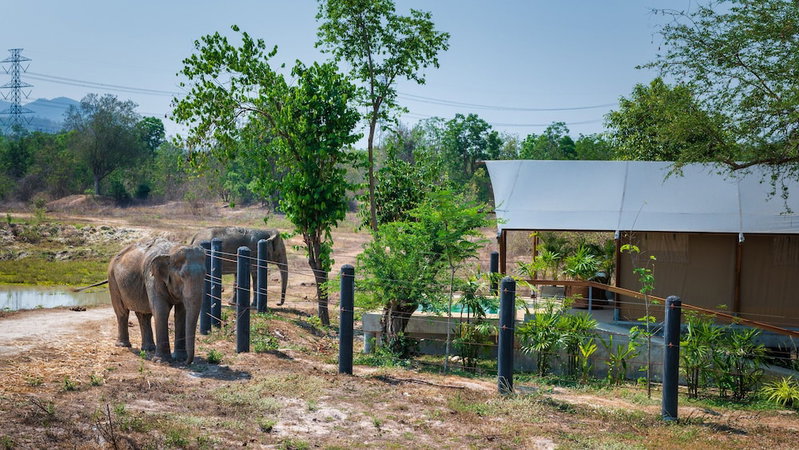 Elephant View Camp, Tha Yang, Thailand