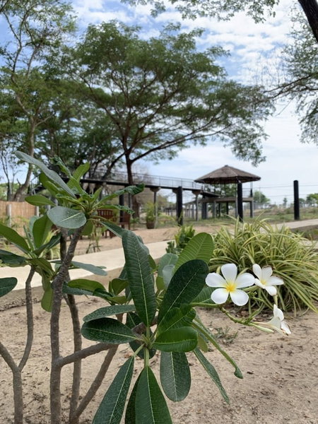 Elephant View Camp, Tha Yang, Thailand