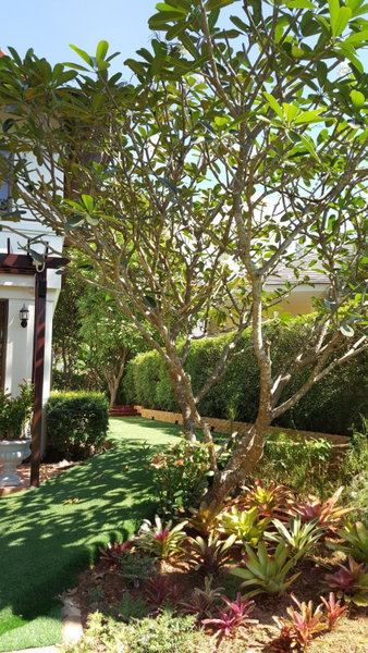 Casa Khaoyai Bed&Breakfast, Mu Si, Thailand