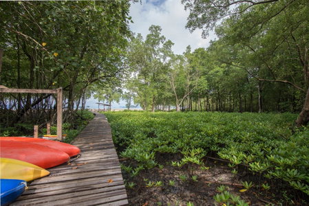 Bananas Resort & Restaurant, Tha Lane Bay, Thailand