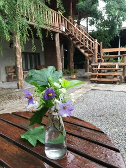 Petit Paramata, Phitsanulok, Thailand