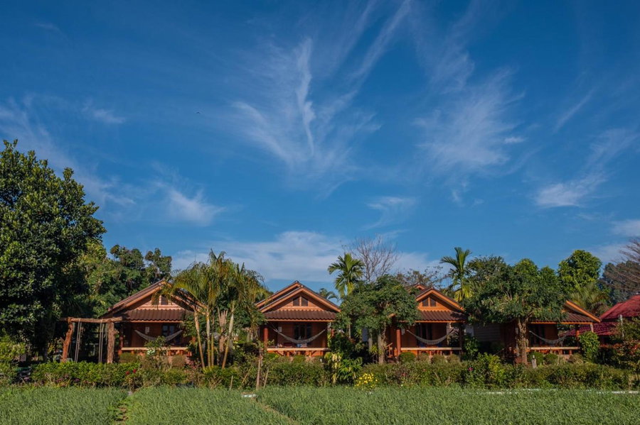 The Nest House, Pai, Thailand