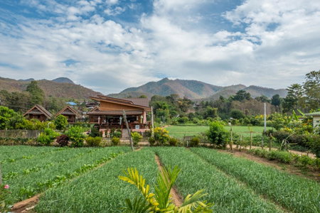 The Nest House, Pai, Thailand