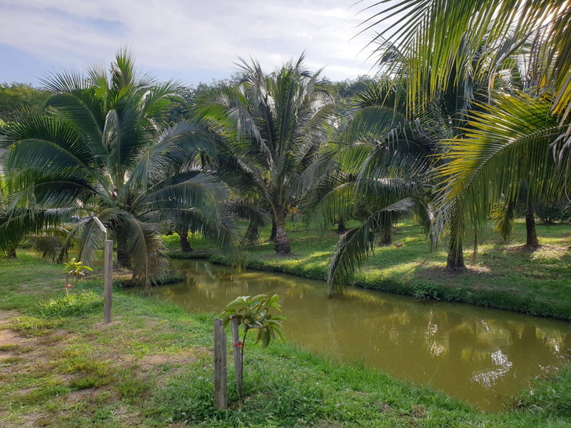 Suan Proud Koh yao noi, Ko Yao Noi, Thailand