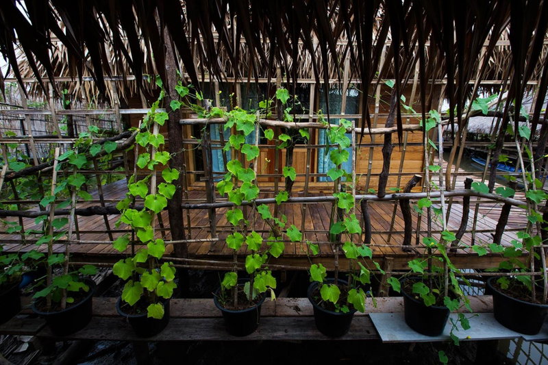 Baan Tonlamphu Pakpra, Phatthalung, Thailand