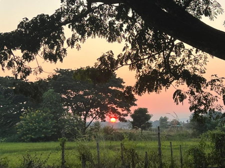 SuanGlangNa, Phrae, Thailand