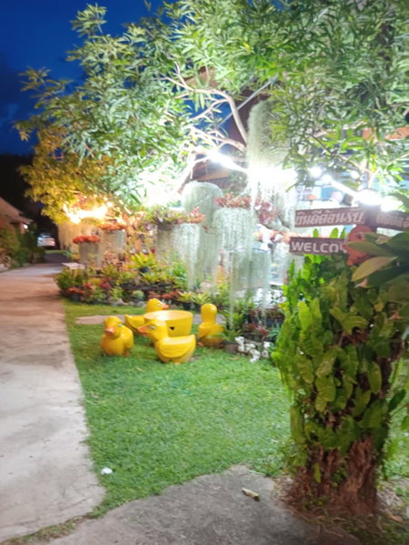 Baankanoonpai(บ้านขนุนปาย), Pai, Thailand